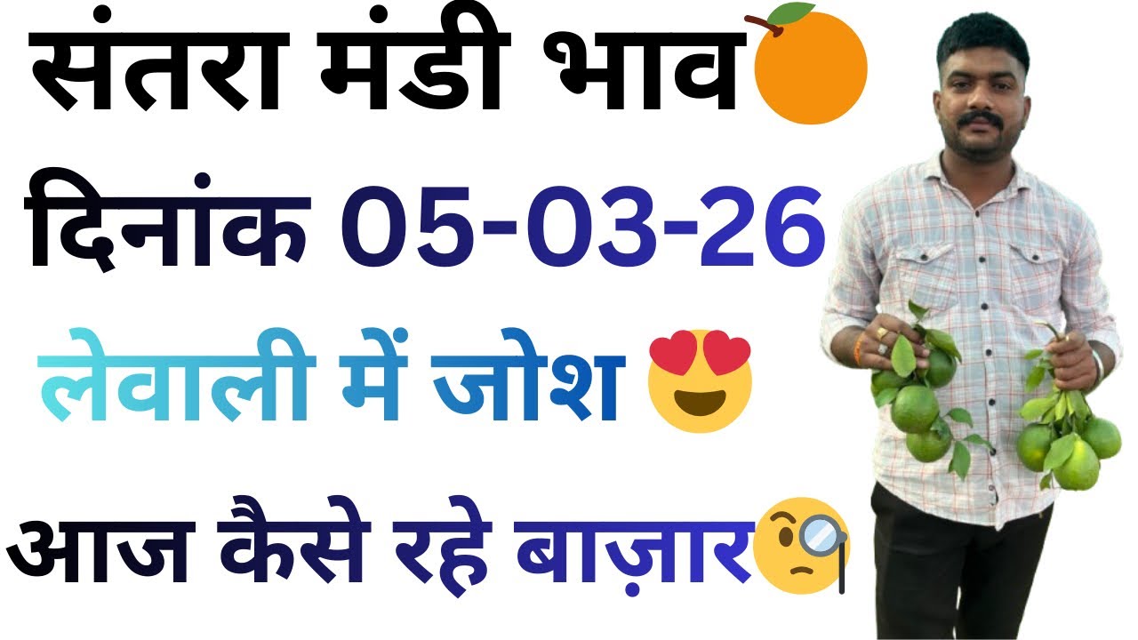 नारंगी के शानदार भाव😍🔥लेवाली में जोश!!आवक में कमी!!भवानीमडी दिनांक 05-03-26 #santara  #fruit #oran