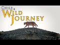 Chile: A Wild Journey | Episode 1 | The Claws of Torres Del Paine