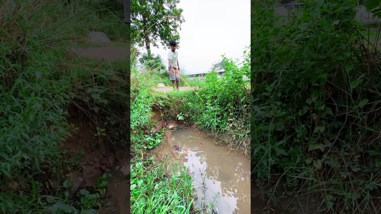 If you want to catch big catfish you must use best fishing hook and methods 