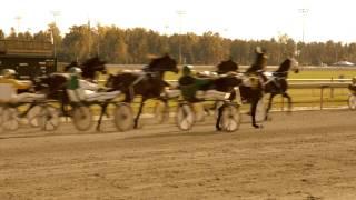 Harness Racing and the D7000 at Colonial Downs