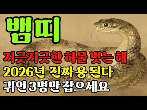 나이 탓인 줄 알았는데 뱀띠 몸이 아픈 건 대박 터질 신호입니다 2026년 대운 운세 나이 탓인 줄 알았는데 뱀띠 몸이 아픈 건 대박 터질 신호입니다 2026년 대운 운세