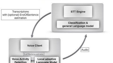 Smart Voice Activity Detection Using Adaptive Custom Language Models - Video Demo