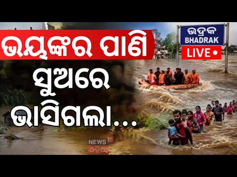 Salandi River in Spate Live: Flood Threat Grows in Bhadrak, Chandbali & Dhamnagar