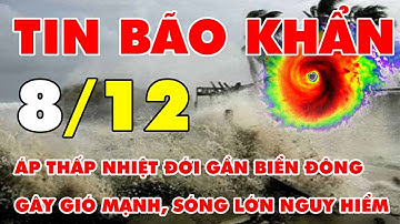 🆘 TIN BÃO KHẨN 8/12: Áp thấp nhiệt đới gần Biển Đông gây gió mạnh, sóng lớn nguy hiểm