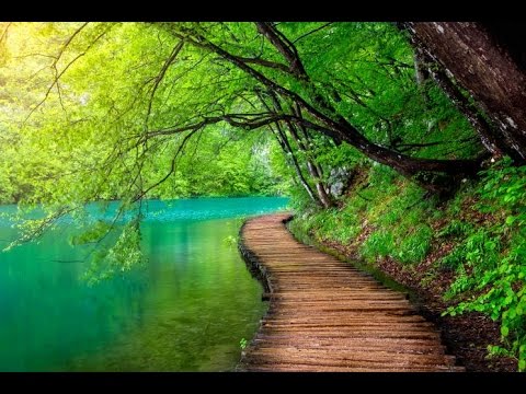 6 Hour Healing Meditation Music: Soft Music, Relaxing Music, Soothing Music, Relaxation Music, ☯2684