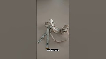 Revealing the Dynamic Nature of the Eiffel Tower