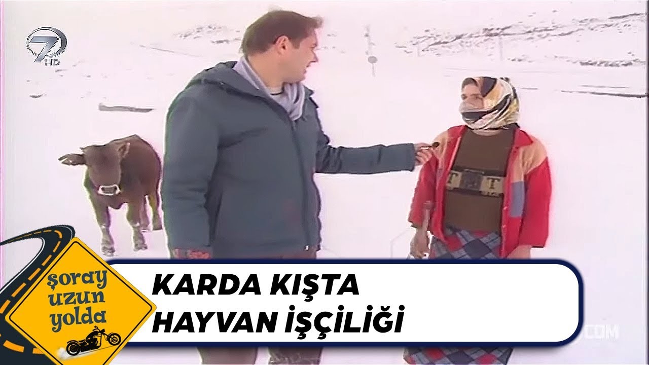 Kars - Hayvancılık Mesleği | Şoray Uzun Yolda