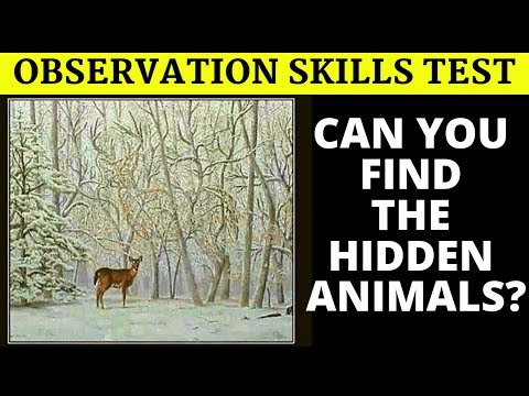 observation-skill-test
