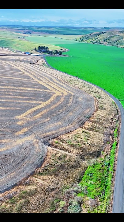 American Road Trip: Washington State#Washington State#American Road Trip#Wheat Fields#Rural America