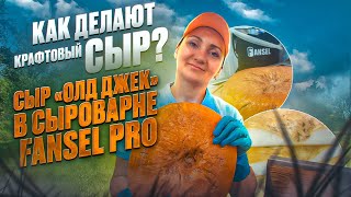 видео: Сыры Ручной Работы / Мастер класс на Fansel Pro / Сыр  картинка: Сыры Ручной Работы / Мастер класс на Fansel Pro / Сыр