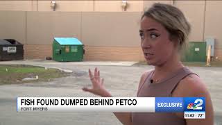 Live Animals Found Thrown In Dumpster Behind Fort Myers PETCO