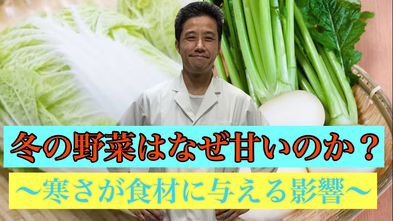 Youtube 冬の野菜はなぜ甘いのか 竹内尚樹の飲食店の教科書
