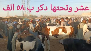 Download Lagu اسعار البقر الوالد والعشر والحلاب بسوق السبت اليوم ٢٩/ ١١/ ٢٠٢٥م MP3