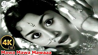 మావ మావ మావా..| Mava Mava Mava Old Golden Most Popular Video Song 4K | Manchi Manasulu Movie