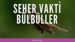 Seher vakti bülbüller // Sözleri // Resimi