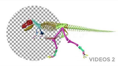 Trex Skeleton Loop Walk Pack | Motion Graphics - Envato elements