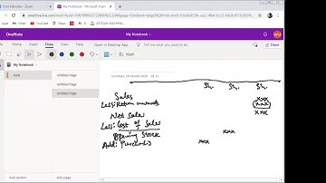 FINANCIAL STATEMENTS OF A SOLE TRADER