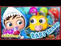 Baby shark | Underwater Sing-Along - Baby songs - Nursery Rhymes &amp; Kids Songs