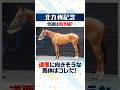 【北九州記念 2026】雨で道悪馬場ならこの馬に注目！