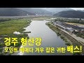 경주 형산강, 포인트 헤매다 겨우 잡은 귀한 배스!!