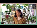 Mga plantes tour   ma philosophie