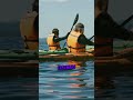 Unglaubliche Fakten zu den olympischen Spielen. #wissen #unterhaltung #youtubeshorts