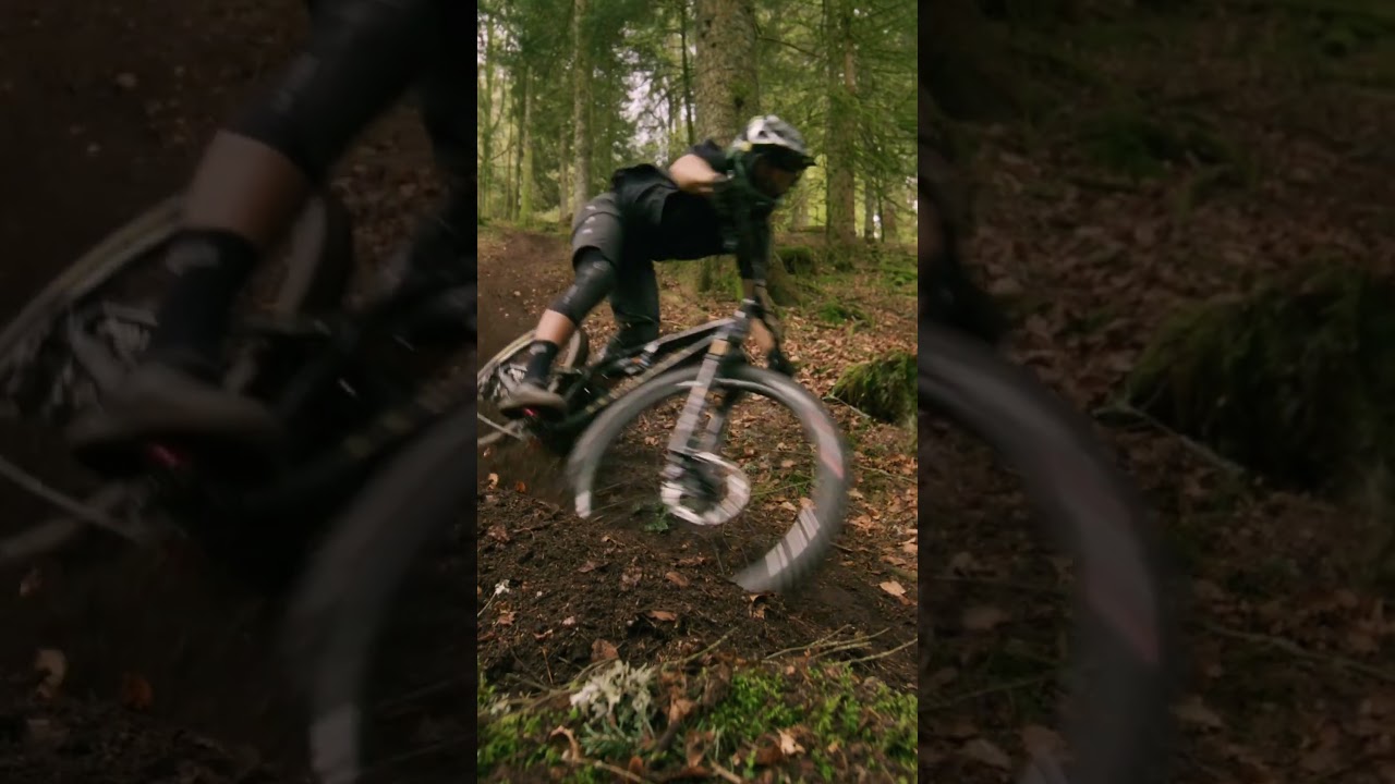 WELCOME TO THE META SX V5 w/ Theo Erlangsen