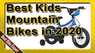 Best Kids Mountain Bikes in 2020