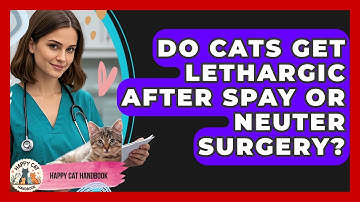 Do Cats Get Lethargic After Spay Or Neuter Surgery? - Happy Cat Handbook