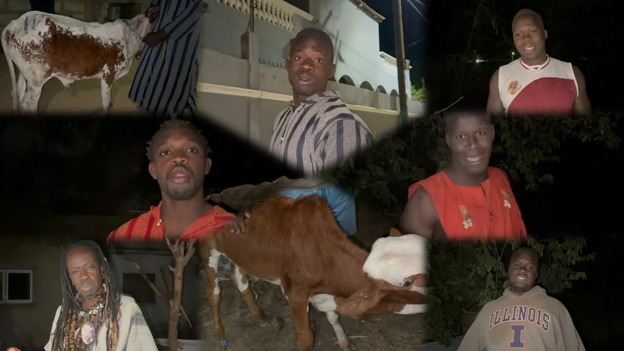 DÉPARTAGE BŒUF LAMB DOMONE REACTION DU PROMETEUR ET DES LUTEUR 9 février 2026