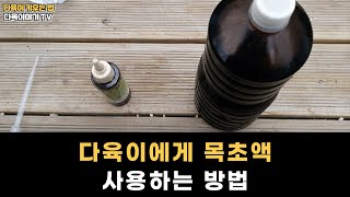 다육이에게 목초액 어떻게 사용해야 하나요? 효능과 사용방법