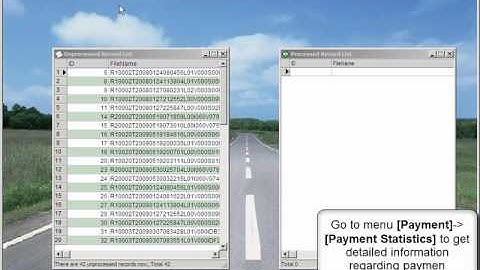 CoThinking MIS Back Office Flash Demo #04 Payment Management