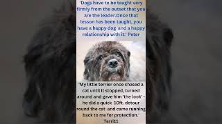 #shorts   Dog Training: Establish Yourself As Pack Leader Fron the Start