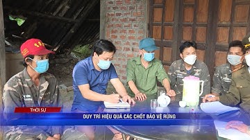 DUY TRÌ HIỆU QUẢ CHỐT BẢO VỆ RỪNG | Truyền Hình Quảng Trị