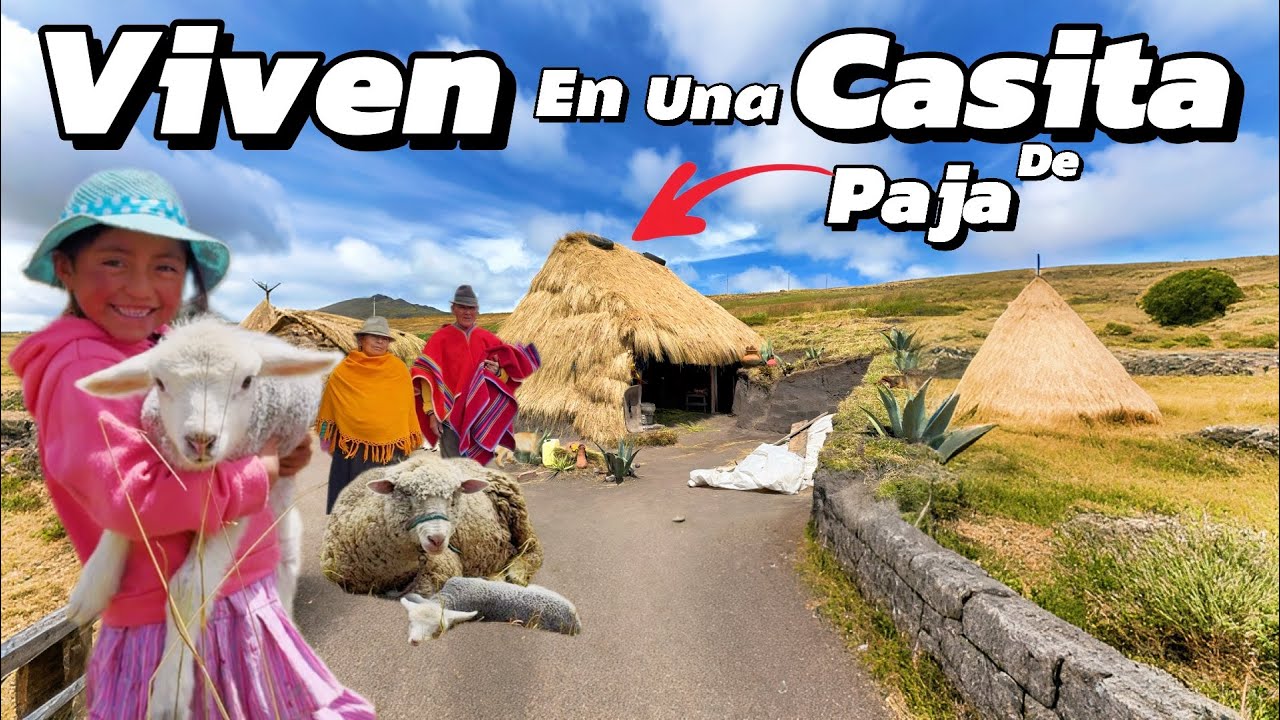 Así es la vida en los fríos PÁRAMOS  del Ecuador ellos  viven en una casita de PAJA  🛖