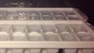 Growing Ice Spikes