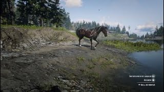 Red Dead Redemption 2_20250912193354