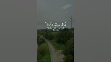 فَلَمَّا تَرَاءَى الْجَمْعَانِ قَالَ أَصْحَابُ مُوسَىٰ إِنَّا لَمُدْرَكُونَ (61) | سورة الشعراء