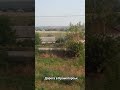 щоденник дорога в Краматорськ #щоденник