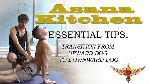 Asana Kitchen: Essential Tips Transition from Up D...