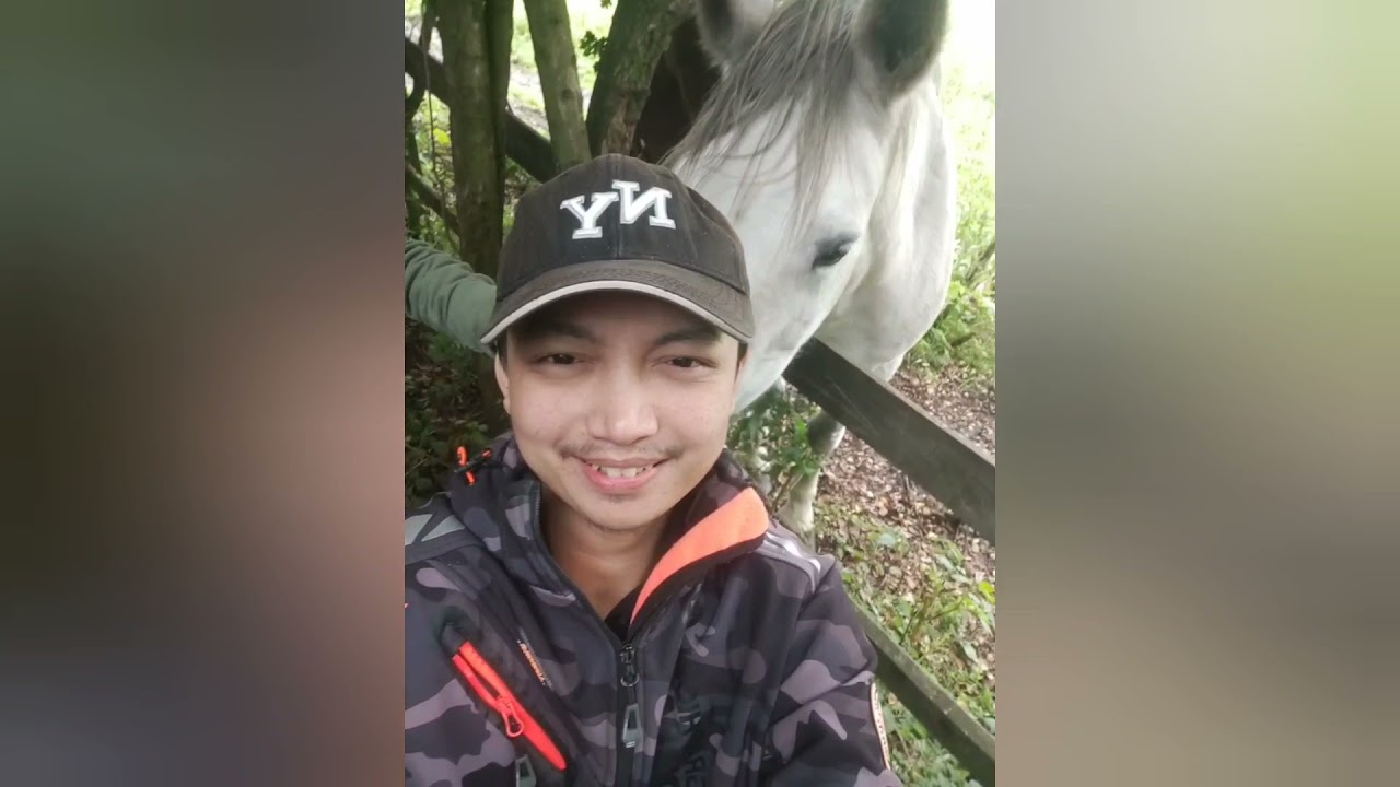 companion - Tan ta phaw - Htoo Eain thin - Liger Paing and friend cover