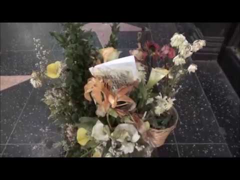 elvis presley height Don Rickles - Honoring Him In Hollywood