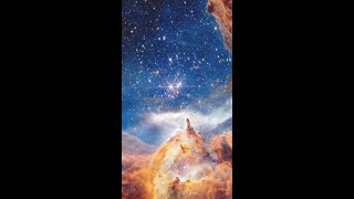 Not a Winter Forest — A Stellar Nursery