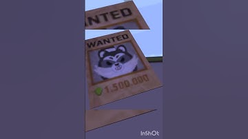 how to find this raccoon 🦝 in PKXD #NOBITAPKXD #922 #xdhype