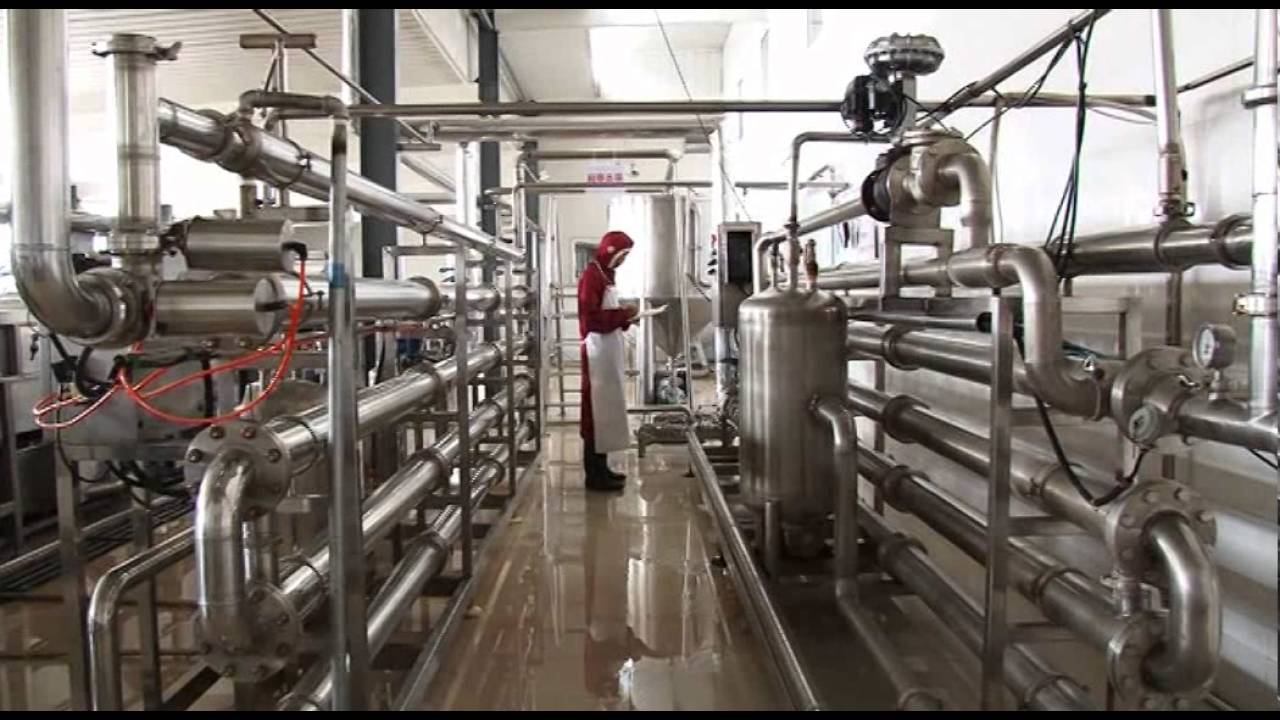 Fomato Paste Processing