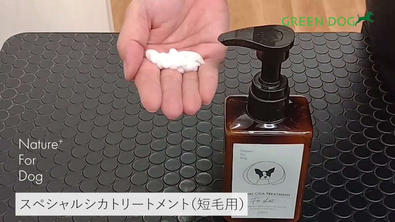 SPECIAL CICA TREATMENT For SHORT NTFDNT02-00 | ネイチャーフォー