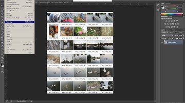 Creating a Contact Sheet in Photoshop Using Automate