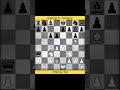 The King Mikhail TAL #chess