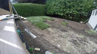 SOD LAYING. time lapse Wealth