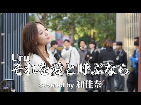 Uru『それを愛と呼ぶなら』covered by 和佳奈 on 2025.11.16 at Kabukicho Street Live